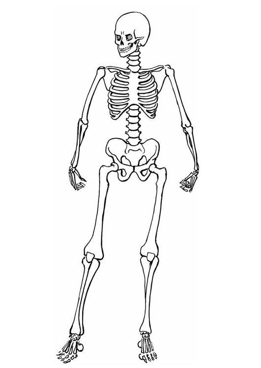 Desenho Para Colorir esqueleto Imagens Grátis Para Imprimir img