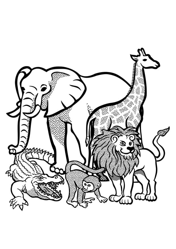 desenho para colorir animais selvagens