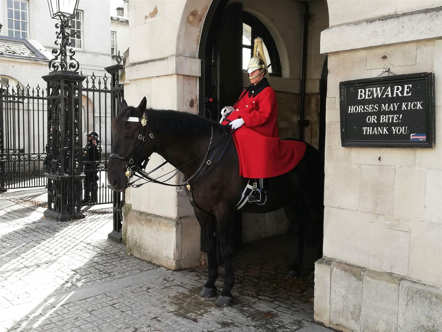 Foto cavalaria domA©stica londres