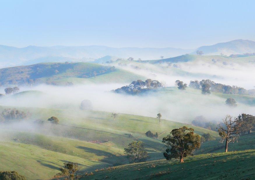 Foto neblina da manhA£