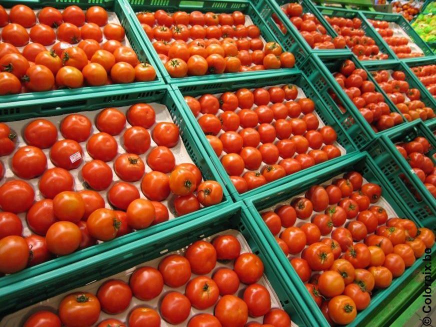 Foto tomates