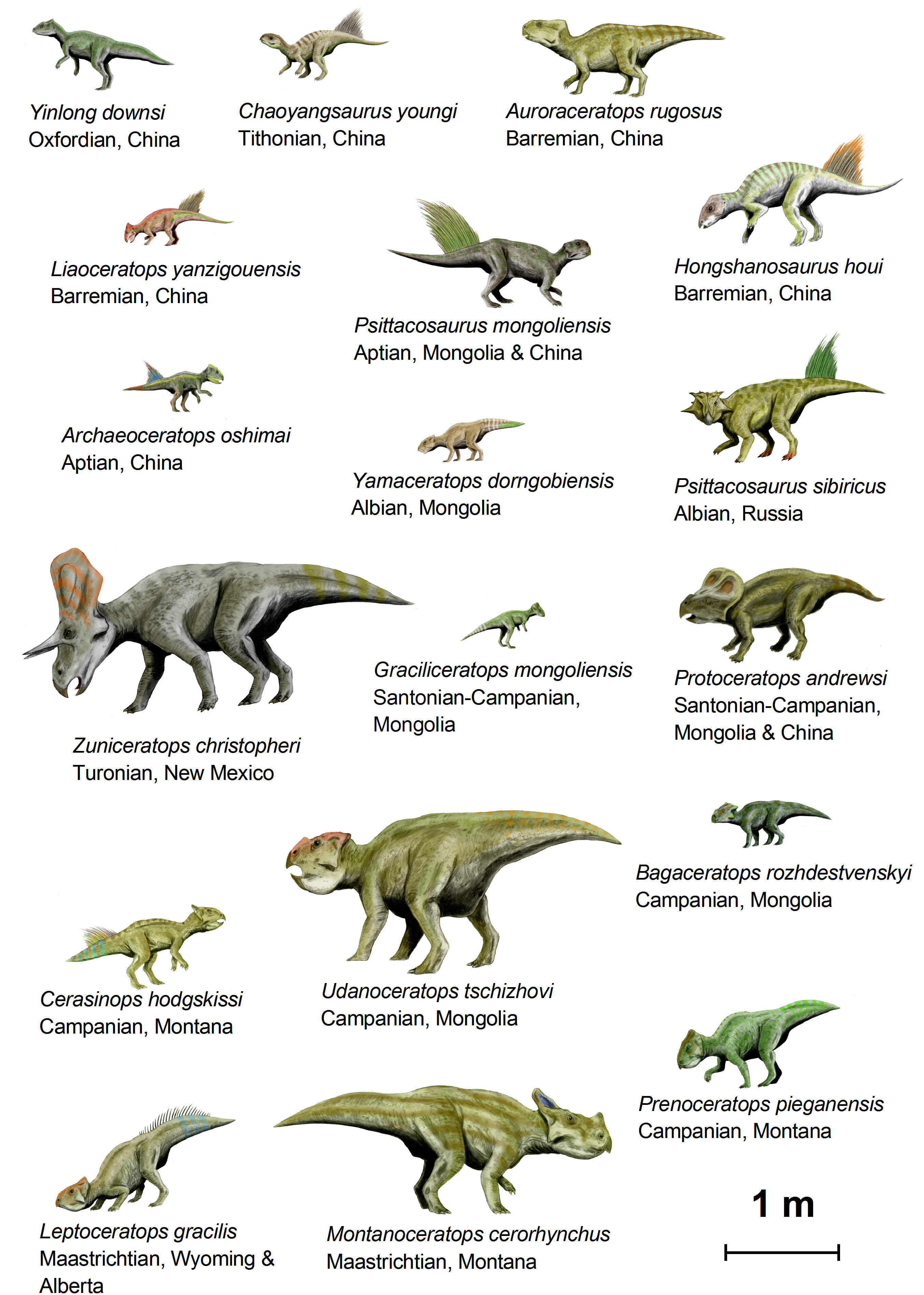 imagem dinossauros (basal ceratopsia)