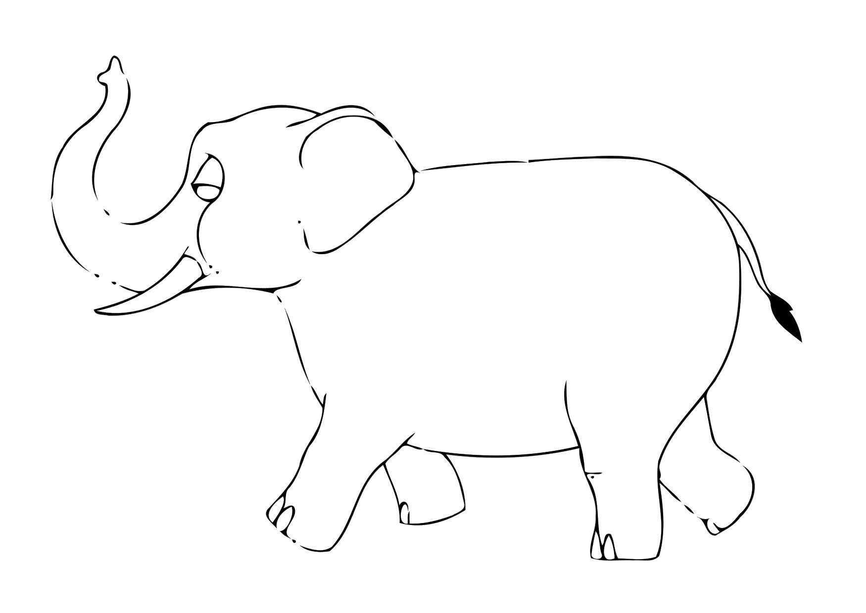 Página para colorir 07b. elefante 