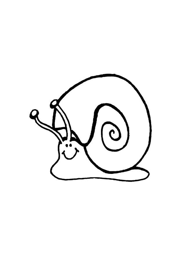 Página para colorir caracol