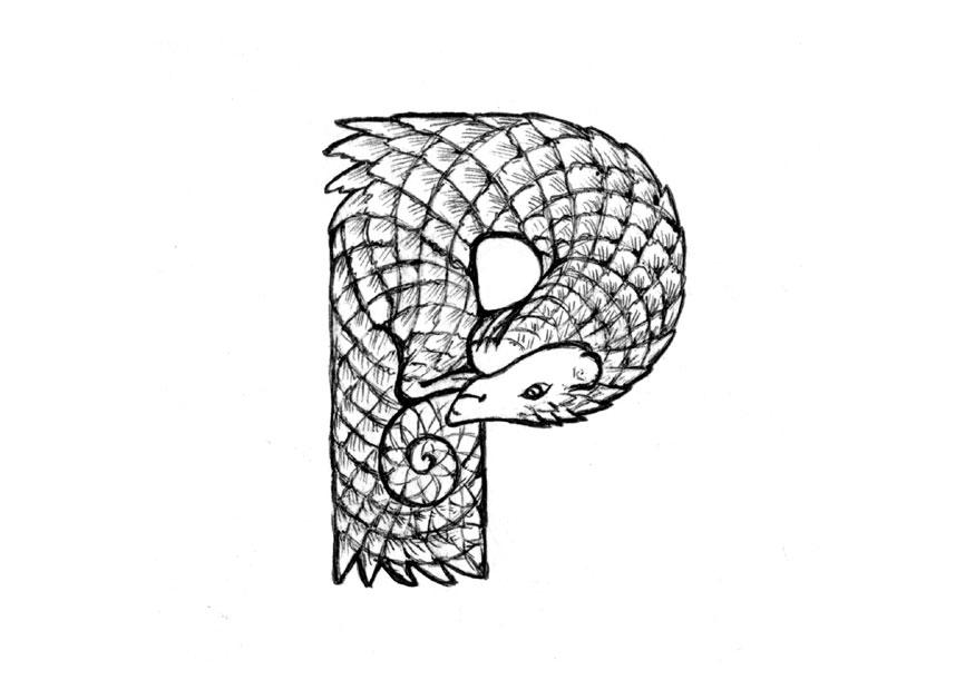 Página para colorir p-pangolin