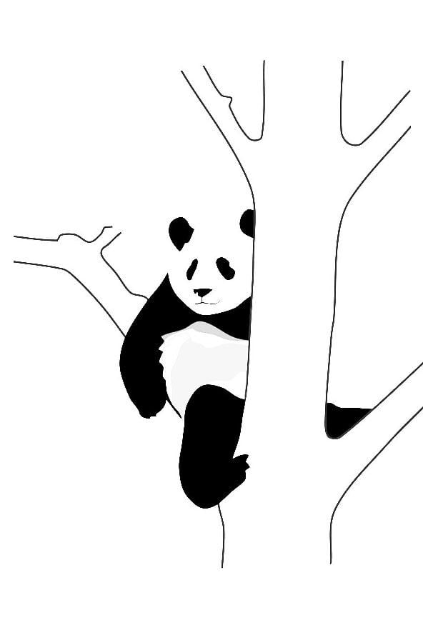 Página para colorir panda na A¡rvore