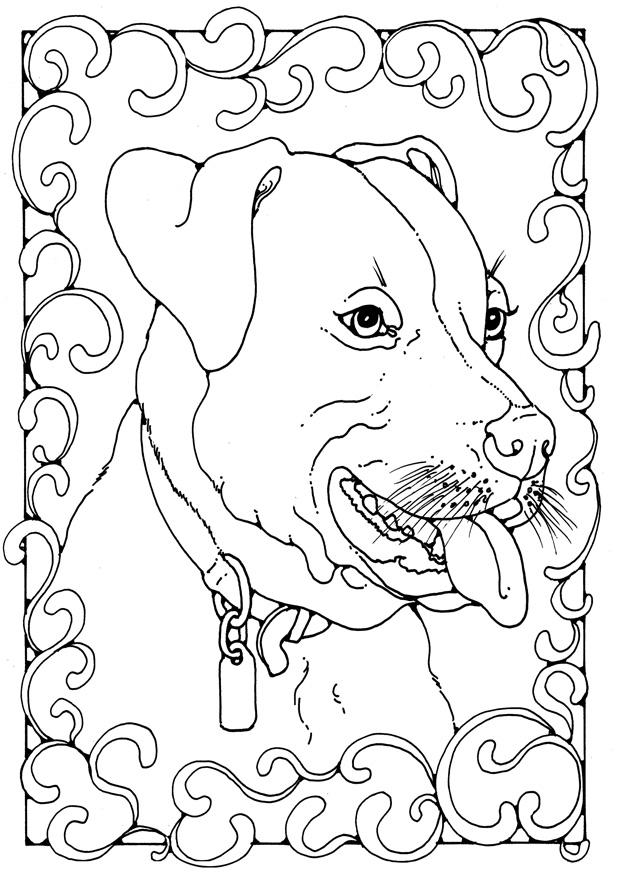 Página para colorir staffordshire bulterrier