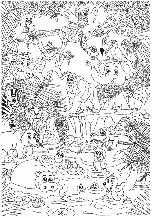 Desenhos De Animais Da Selva Para Colorir Para Colorir
