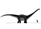 Desenho Para Colorir luta entre t-rex e estegossauro - Imagens Grátis Para  Imprimir - img 31138