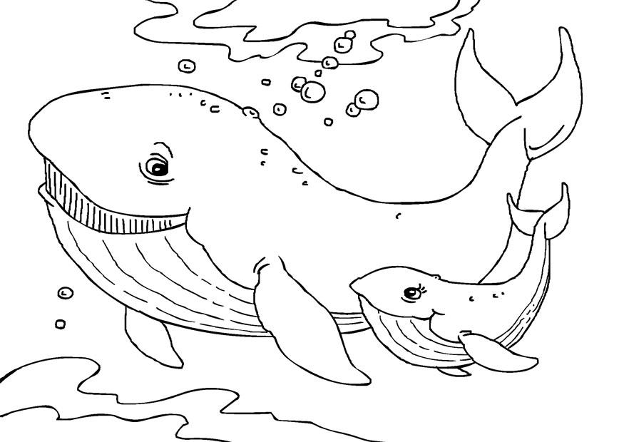 Coloring page - Baleia no Oceano