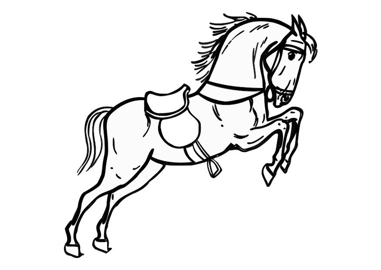 Desenhos de cavalos para colorir para crianças. imprima-os online  gratuitamente.