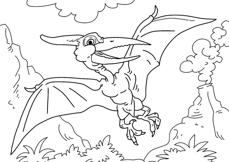 Desenho Para Colorir dinossauro - pteranodonte - Imagens Grátis Para  Imprimir - img 27737