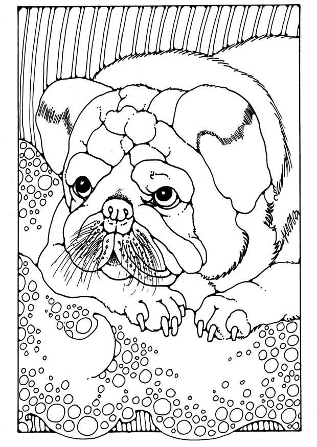 Desenho e Imagem Pug Filhote De Cachorro para Colorir e Imprimir Grátis  para Adultos e Crianças 