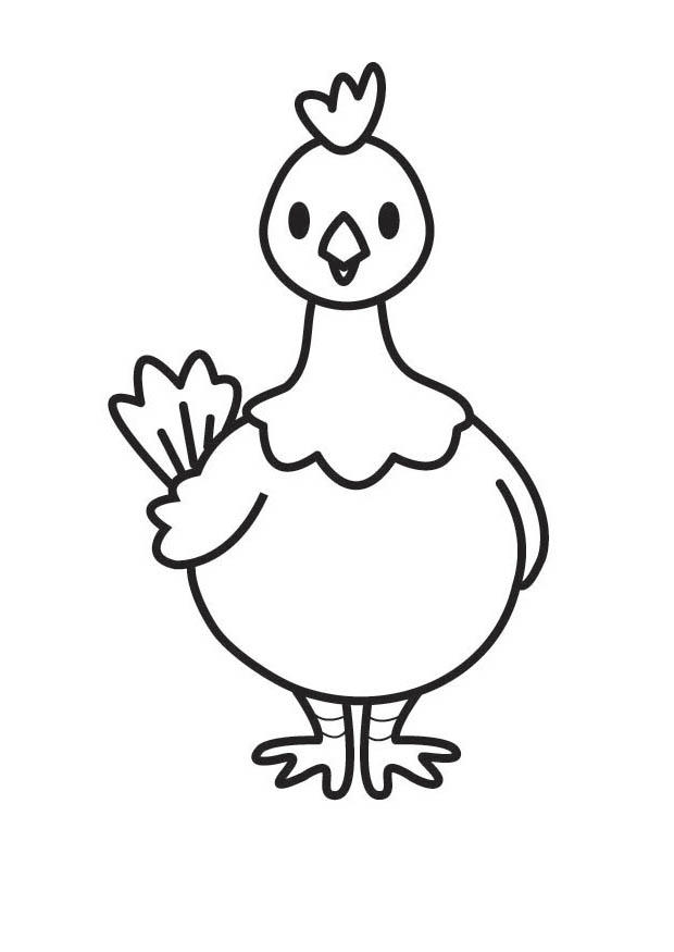 Desenho de galinha para colorir para crianças