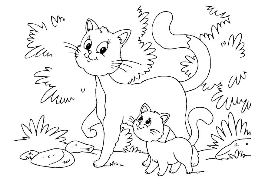 Desenho de filhote de gato [download] - Designi