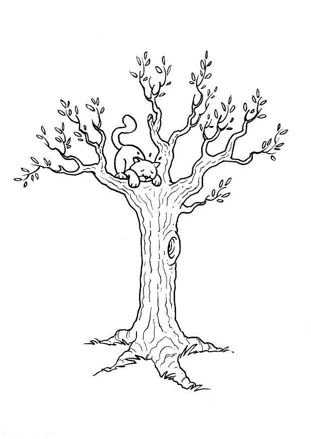 Desenhos para colorir de desenho de um gato em cima de uma árvore para  colorir 