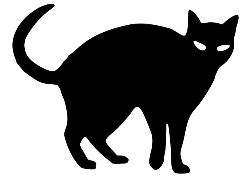 Desenho de um gato preto e branco para colorir.