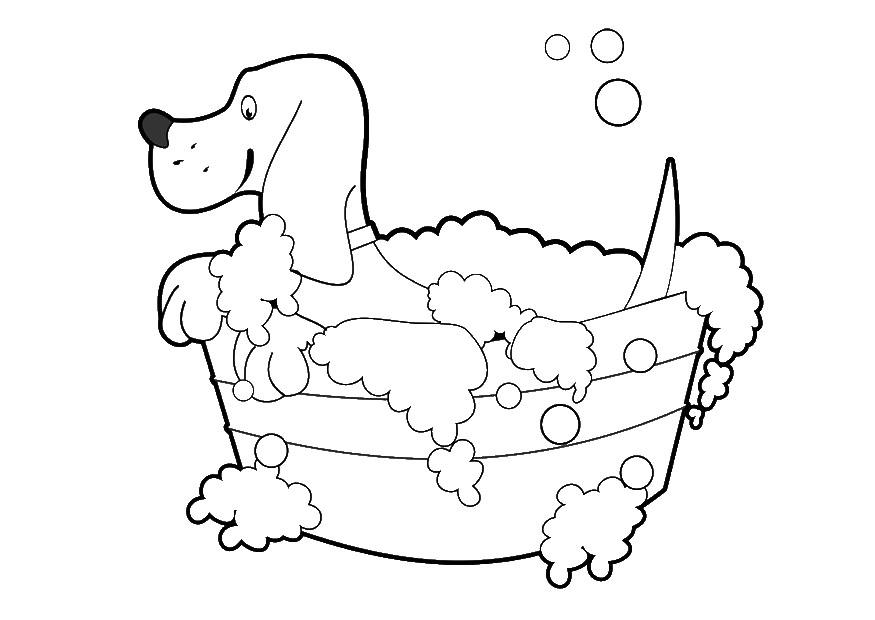 Desenho De Cão Com Um Dispensador E Frasco Remédio Para Colorir