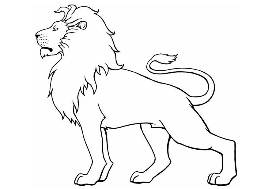 Desenhos para colorir de animais selvagens Leão
