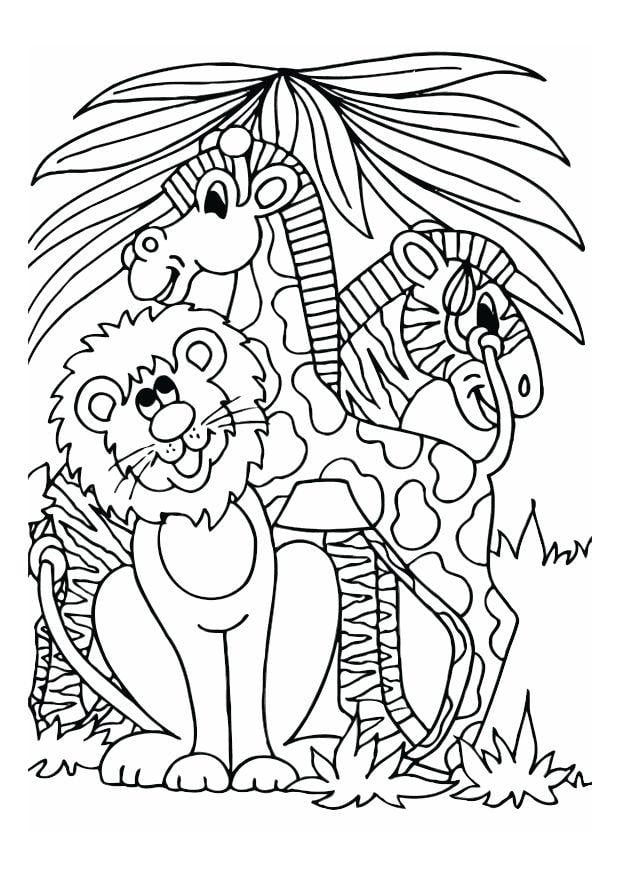 Desenhos para colorir de animais selvagens Leão